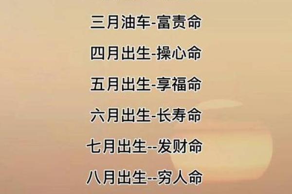 见兔顾犬是什么生肖 见兔顾犬是什么生肖