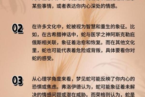 梦到蛇追着我跑是什么意思