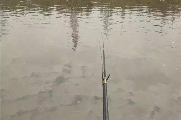 梦见捉了一条大鱼是什么预兆