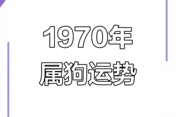 1970年属狗的今年运势_1970年属狗2025年运势