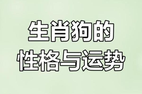 1982的狗是什么命 五行属什么 1982年属狗五行属什么命运解析与运势指南
