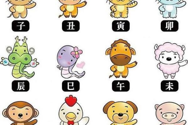 舍策追羊指什么生肖 舍策追羊指什么生肖