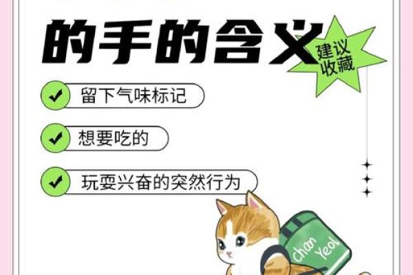 女人梦见猫咬手预兆 女人梦见猫咬手预兆