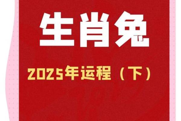 2025年属兔人的全年运势如何(2025年属兔人的全年运势如何第一星座) 2025年属兔人的全年运势如何(2025年属兔人的全年运势如何第一星座)