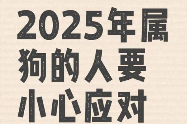 2025年属狗乔迁最好日子 2021年属狗乔迁吉日