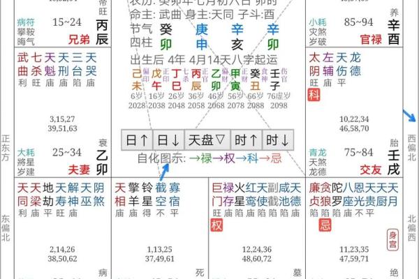 2025年4月23日子时女命紫微斗数全解盘 2025年4月23日子时女命紫微斗数全解盘
