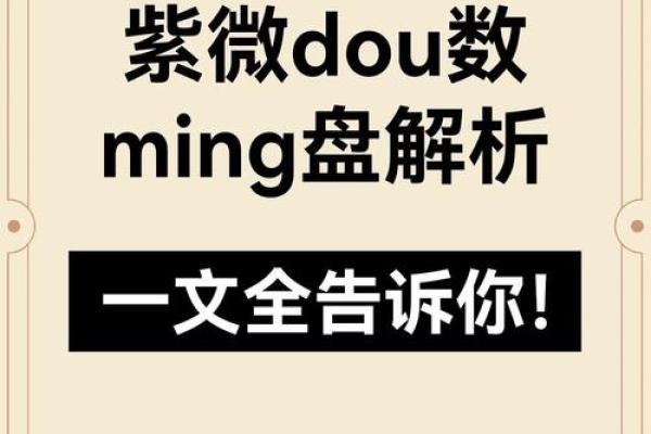 2025年4月17日亥时男命紫微斗数全解盘 2025年4月17日亥时男命紫微斗数全解盘