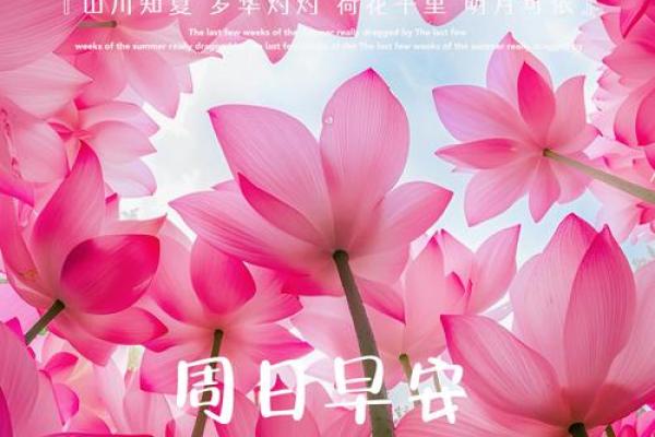 2024年祝福短句 2024年祝福短句