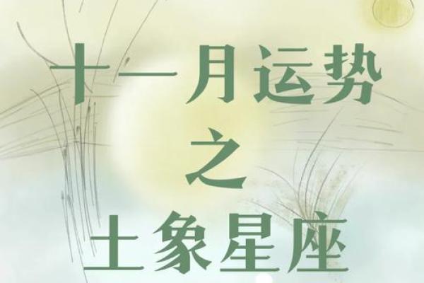 十一月八号生的是什么星座 十一月八号出生的人 十一月八号生的是什么星座 十一月八号出生的人