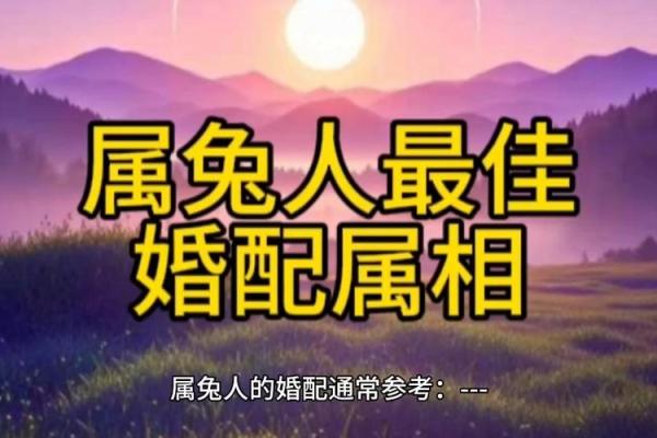 99年属兔女的最佳结婚年龄,1999年属兔婚配男人