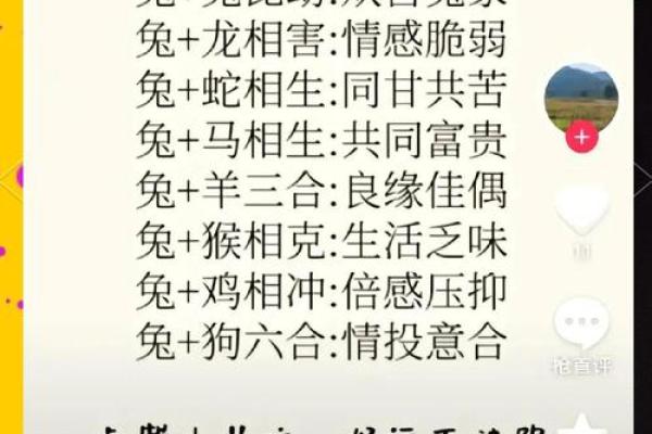 1999年属兔最佳结婚年龄 1999年属兔最佳结婚年龄