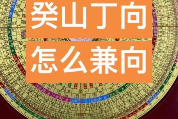 癸丁兼子午吉凶方位图