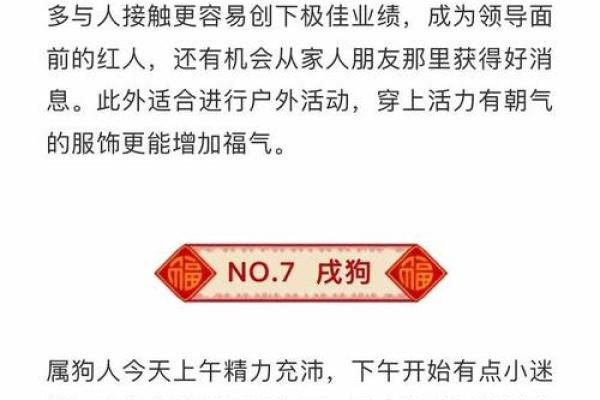 今日生肖运势查询黄历