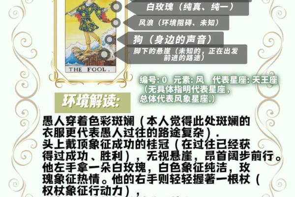 塔罗牌生辰八字,塔罗牌在线测试命运