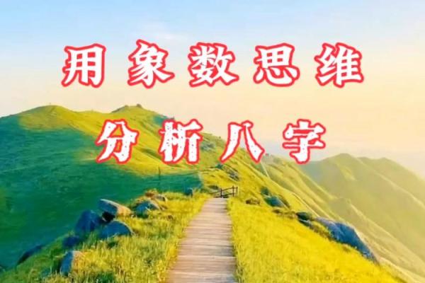 【解密象数派八字】-从容洞悉你的一生！