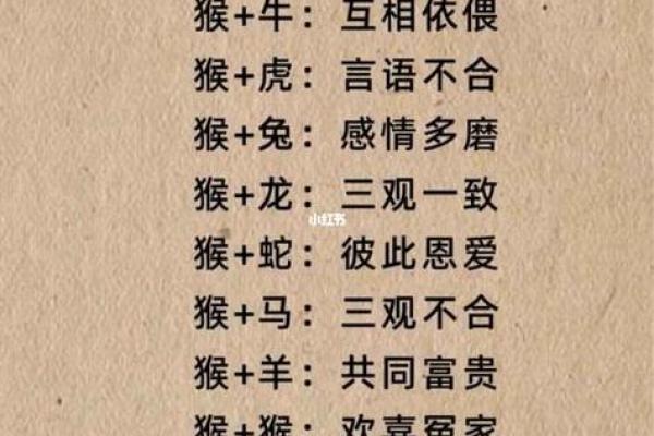 87兔和92猴的姻缘如何 87兔和92猴的八字合不合