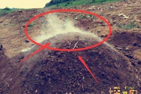 如何判断身上有仙骨的征兆风水