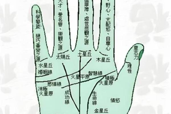 手相算命的基本原则