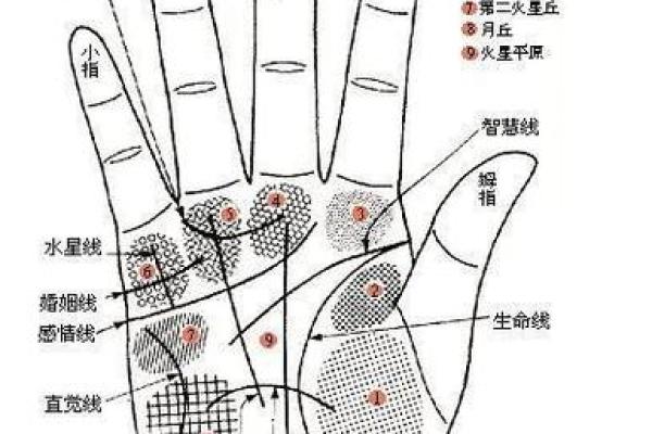 手纹线图解大全男人手相 男人算命看左手还是右手 手纹线图解大全男人手相 男人算命看左手还是右手