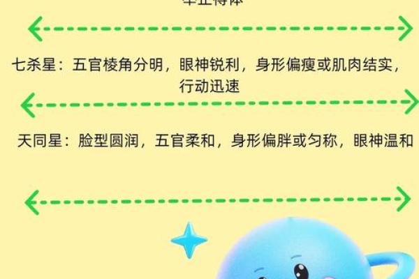 观星阁紫薇斗数