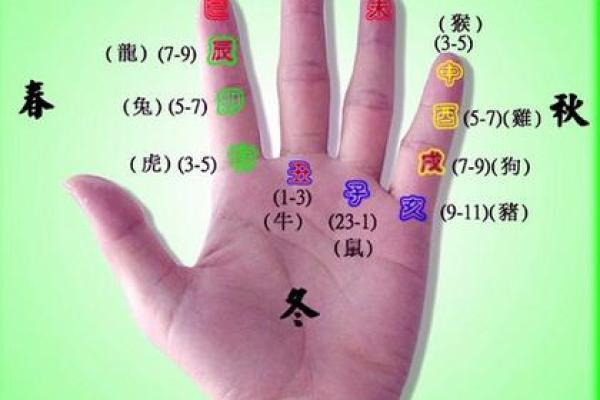 一掌经算命最准的方法