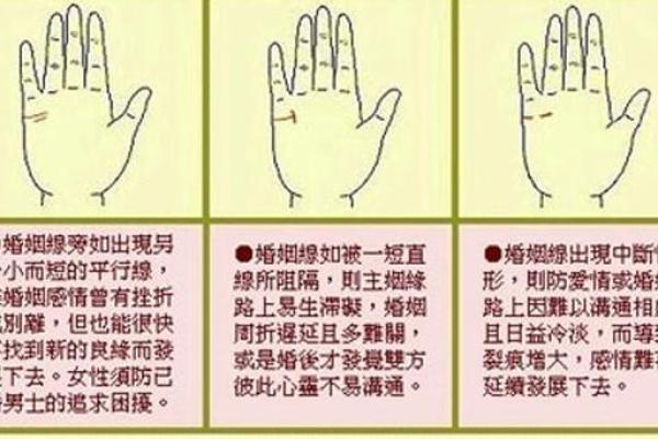 手相算命婚姻线详解 手相算命婚姻线详解