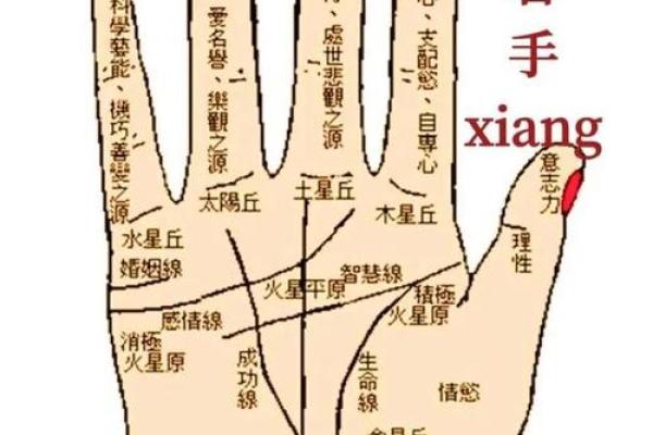 手指算命 手指预测爱情 手指算命 手指预测爱情