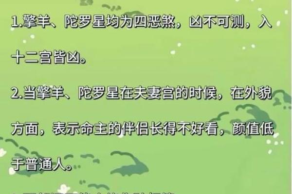 紫微斗数嫁 紫微斗数嫁二婚男？