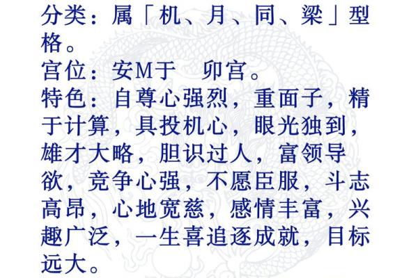 紫薇斗数每个格子什么内容