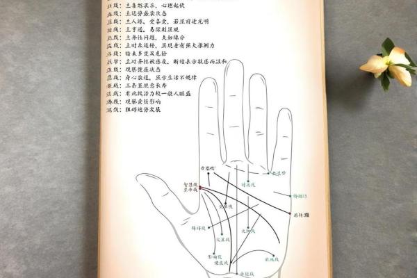 男人生命线图解，男人看手相生命线算命