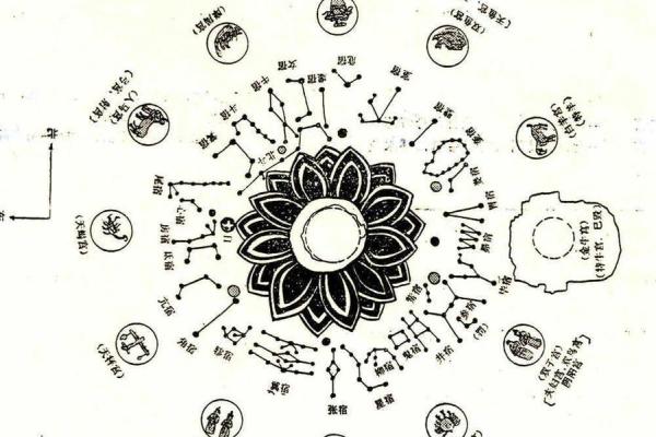 紫薇斗数丙级星 紫薇斗数丙级星