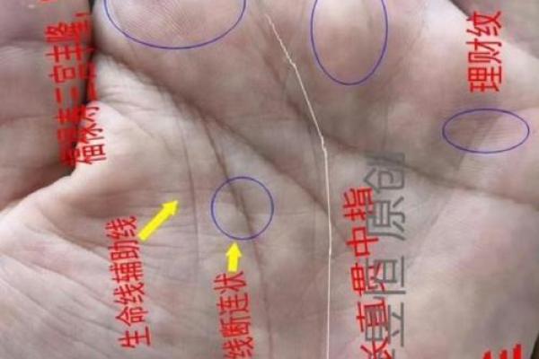 看男人手相算命图解 中指长的会富贵