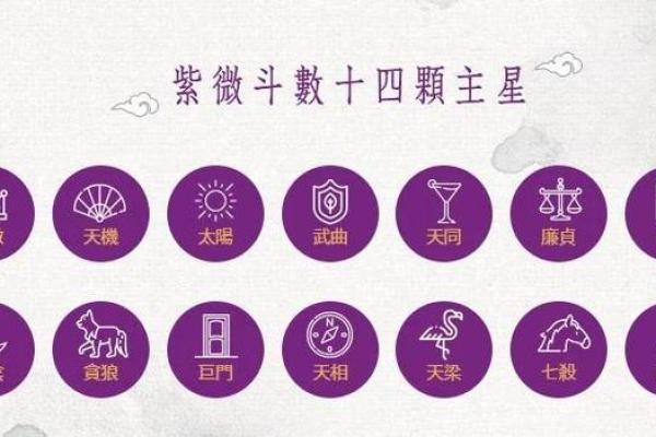 紫薇斗数四正位