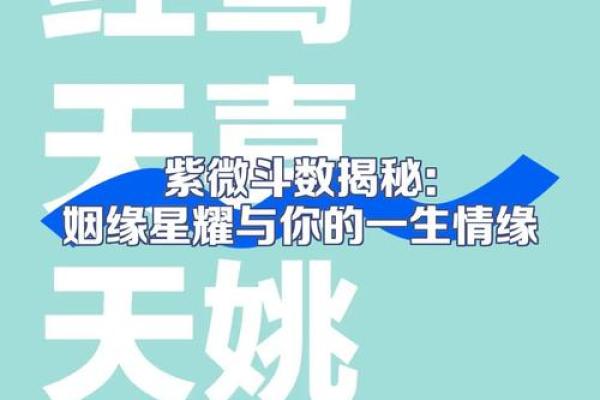 紫薇查看姻缘 紫薇查看姻缘