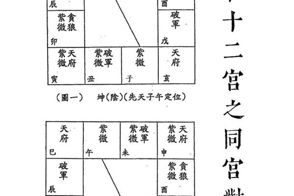 紫薇斗数命宫天月