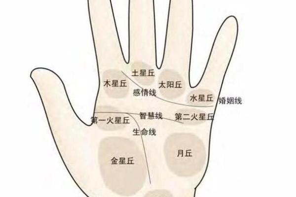 五角星手纹算命图解 五角星手纹手相