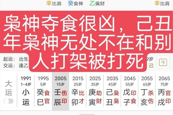 免费八字算命感情