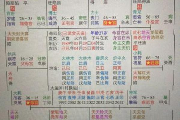 紫薇斗数子女成就