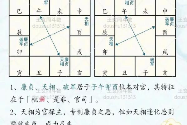 紫薇斗数进阶书 紫薇斗数进阶书