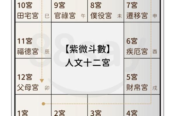 紫薇斗数看月份