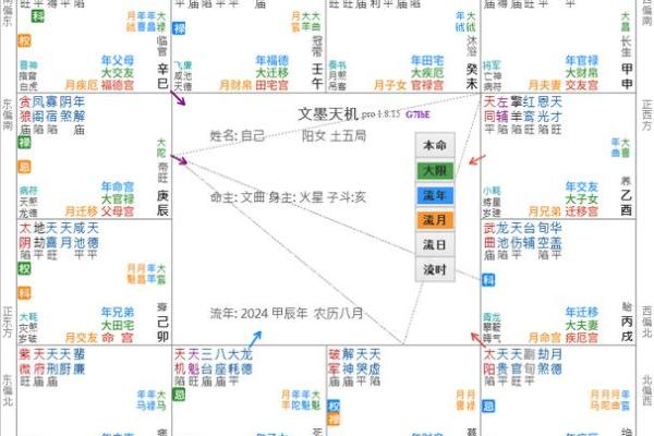 紫微斗数之：论疾厄