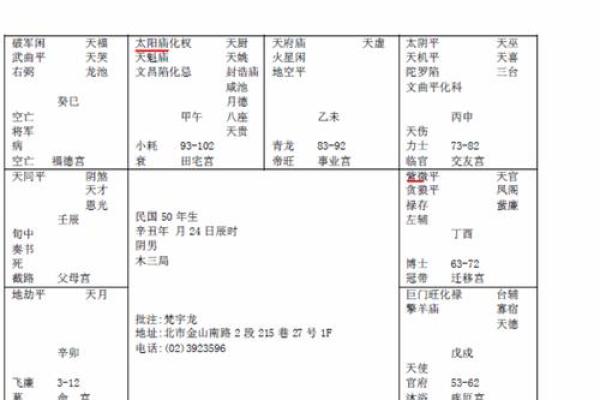 美貌男紫薇斗数