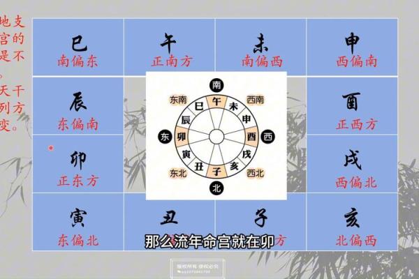 紫薇斗数12宫位