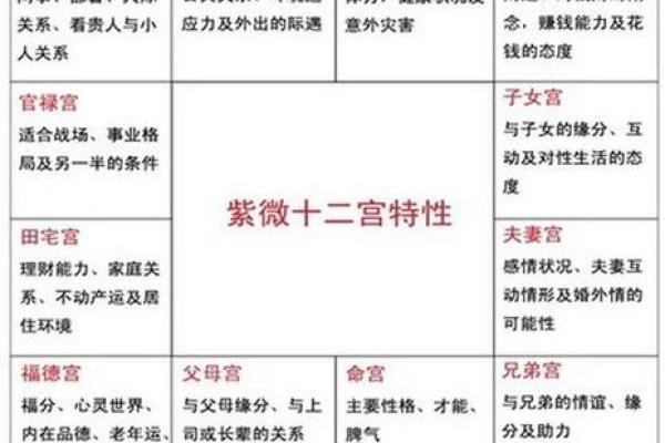 紫薇斗数12宫位