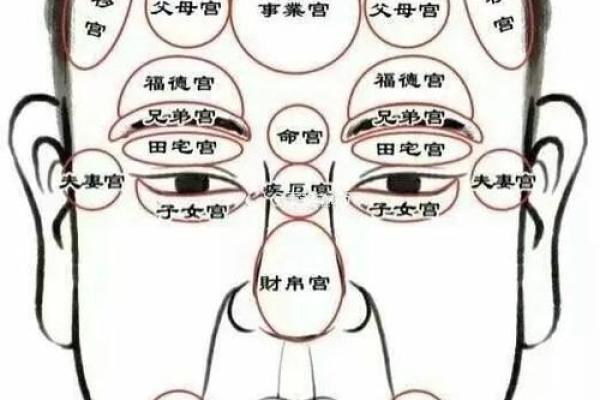 看鼻子面相算命大全 看鼻子面相算命大全