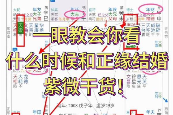 紫薇斗数看创业与否