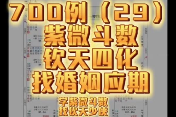 大花紫薇斗数钦天