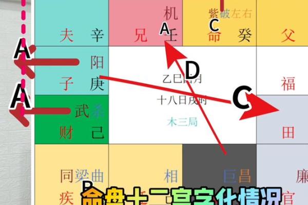 紫薇斗数看谁有豪宅