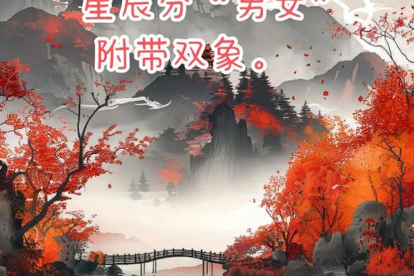 紫薇斗数免费合婚