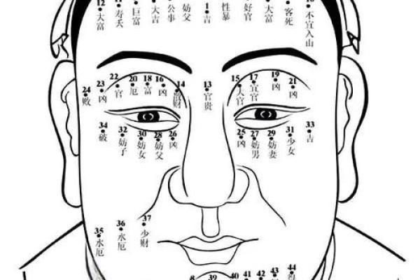 脸上黑痣算命图解吉凶